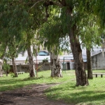 sdc10571
