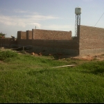 avance-8