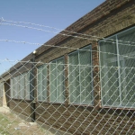 dsc03551