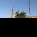 p7230396