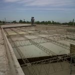 marzo-2011-c